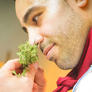 cropped-300x400-chef-939436.jpg